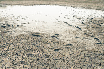 Land ground drought crisis environment.