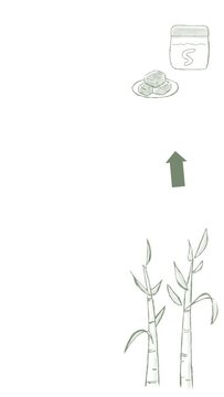バガス(サトウキビの搾りカス)が紙皿や紙コップやランチボックスの容器になるまでの手描きイラスト