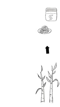 バガス(サトウキビの搾りカス)が紙皿や紙コップやランチボックスの容器になるまでの手描きイラスト