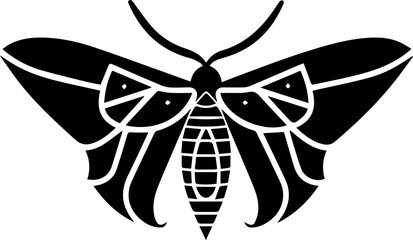 Beautiful Moth Vector Illustration