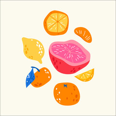 Fruit Patterns. Inspiring Art Collection in Prints