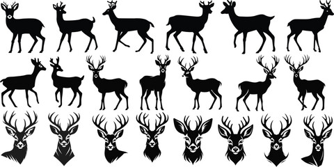 Roe deer silhouettes set vector illustrations © VYCstore
