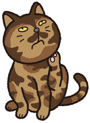 首を掻くサビ猫.