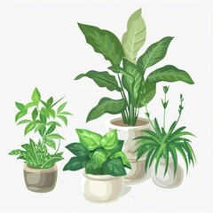 cartoon clip art ,Green plants are planted in POTS
