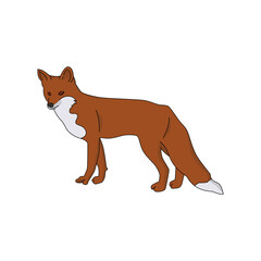 Fox illustration design isolated in white background