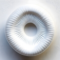 White Radial Textured Torus on Softly Lit Background with Ethereal Quality