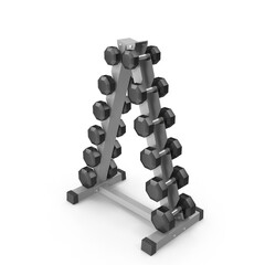 Gym Dumbbell Stand With Dumbbells