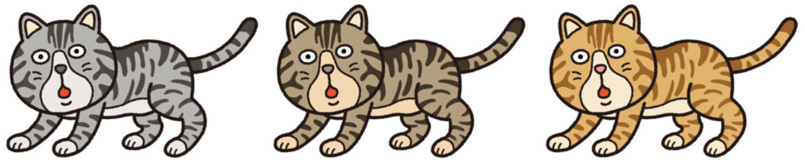 Obraz premium 呼び止められたトラ猫