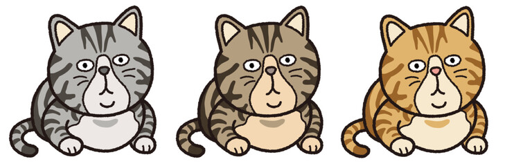 行儀の良いトラ猫