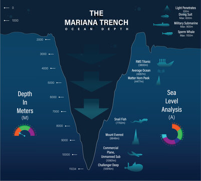 Vector mariana trench sea illustration, infographics or analysis, depth of ocean