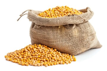 Chana dal split chickpeas isolated on white background