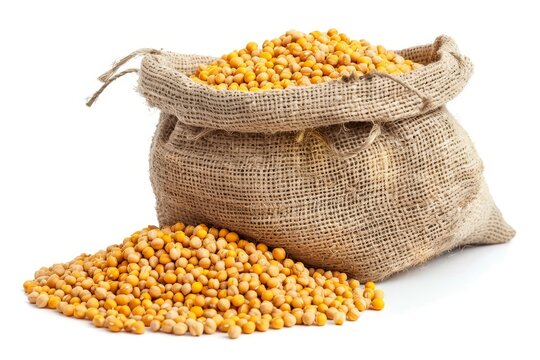 Chana dal split chickpeas isolated on white background