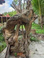 old teak wood