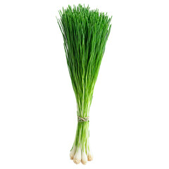 Fresh chives vibrant green color slender stems Food and culinary concept