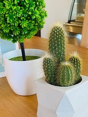 Natural photos