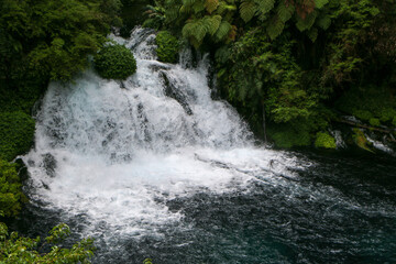 Fototapeta premium waterfall in the forest 