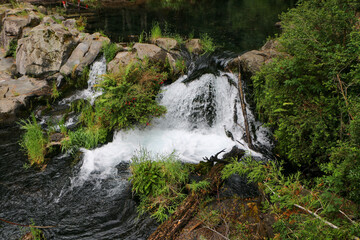 Naklejka premium waterfall in the forest 