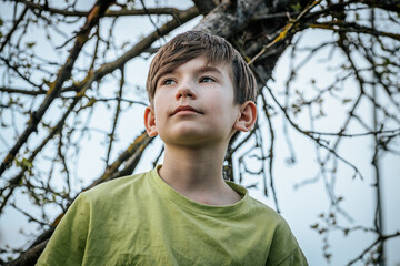 Portrait of a boy sitting on a tree branch in the garden