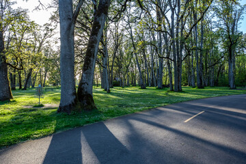 Woodland park in springtime. Champoeg State Heritage Park in Oregon