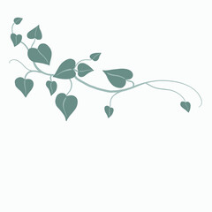 Obraz premium Floral ivy drawing decorative ornament flat design.