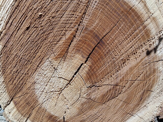 Fototapeta premium Intricate Wooden Textures