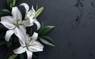Fototapeta na wymiar Elegant white lilies with detailed petals and green leaves set against a dark, textured background, conveying serenity and contrast