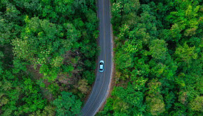 Aerial view of dark green forest road and white electric car Natural landscape and elevated roads...