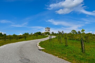 Asphlat road leading to Cerje at Kras in Primorska, Slovenia