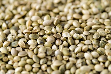 Hulled Canadian hemp seeds known as Super Food for their nutrient rich profile