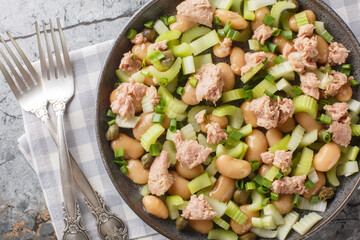 Vitamin Salad of canned tuna, butter beans, fresh celery, green onions and capers close-up in a plate on the table. Horizontal top view from above