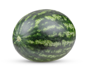 watermelon isolated on transparent png