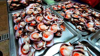 Colorful scallop shells with vibrant orange roe displayed on a market stall