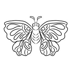 Colorful Butterfly art print poster,Butterfly wall decor.Set of realistic vector butterfly.Collection of vintage elegant illustrations of butterfly.Clip art.Design element for your project.line art