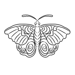 Colorful Butterfly art print poster,Butterfly wall decor.Set of realistic vector butterfly.Collection of vintage elegant illustrations of butterfly.Clip art.Design element for your project.line art