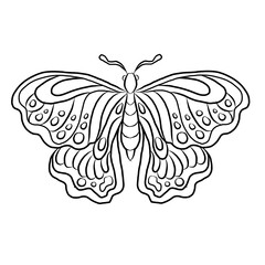 Colorful Butterfly art print poster,Butterfly wall decor.Set of realistic vector butterfly.Collection of vintage elegant illustrations of butterfly.Clip art.Design element for your project.line art