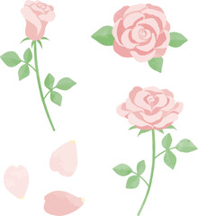 Pink Rose Flower Illustration Set