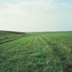 Vast Grassland Landscape with Rolling Hills and Clear Blue Sky