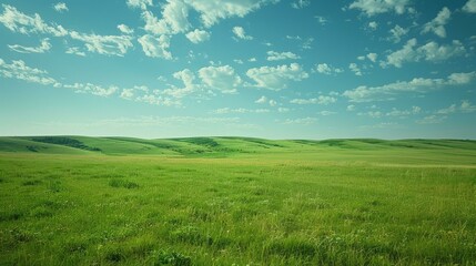 Vast green grassland under blue sky with white clouds