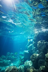 Underwater rock formations and fish