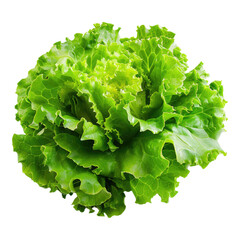 Fresh lettuce isolated on transparent background