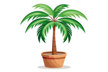 Palm tree in a pot isolated on white background. Vector illustration.