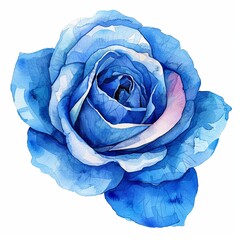 Obraz premium Blue rose watercolor isolated on white background
