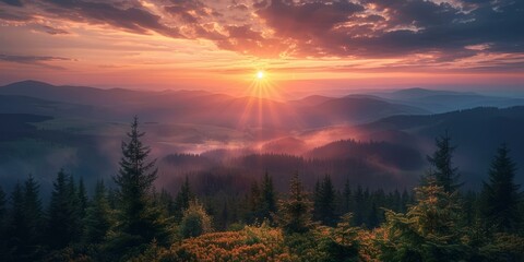 Beautiful mountain landscape with sunrise and coniferous forest