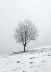 Black and white photo of a lonely tree in a snowy field