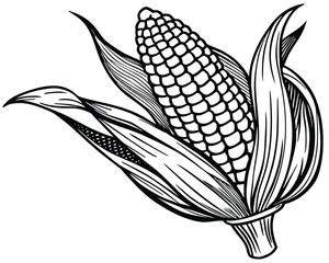 Corn graphic art black white
