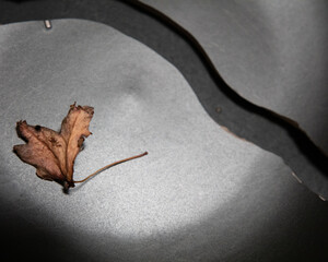 autumn meal, dry leaf on the black broken plate, old silver cutlery
