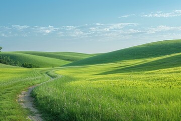Fototapeta premium Green rolling hills of Tuscany Italy