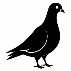 Pigeon of peace silhouette vector art illustration with white background
