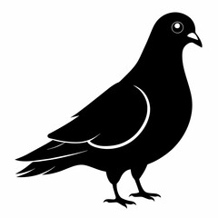 Pigeon of peace silhouette vector art illustration with white background
