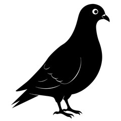 Pigeon of peace silhouette vector art illustration with white background
